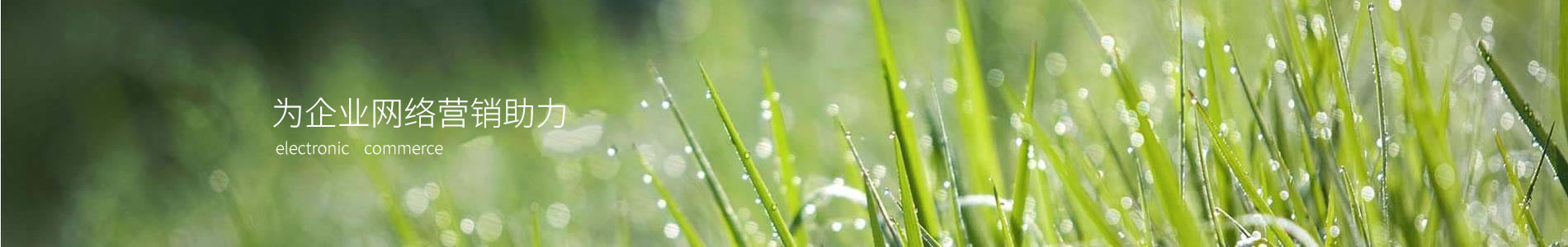 ݾڿƼ޹˾